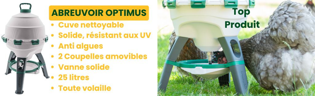 Abreuvoir poules et volaille optimus